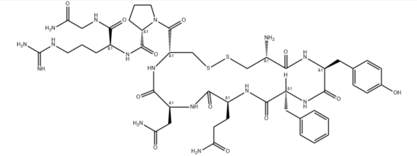 Hot Sale Argipressine/ [Arg8]-Vasopressin/ Argipressin Acetate CAS 113-79-1 For Lab Research