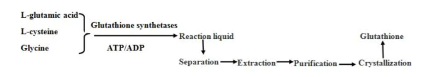 Diagrama de flujo del proceso del fabricante de glutatión